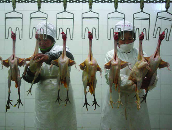 Employees work at a chicken processing factory in Hefei