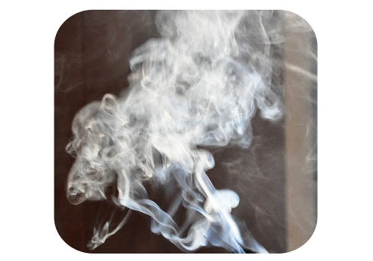 Sarojini and the Sambrani