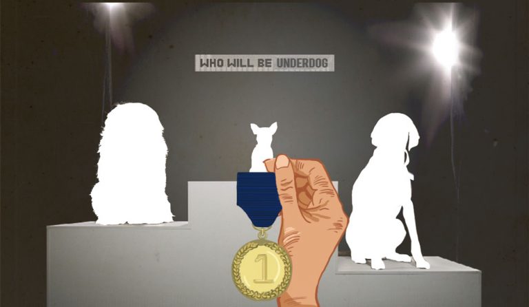 Understanding the Underdog